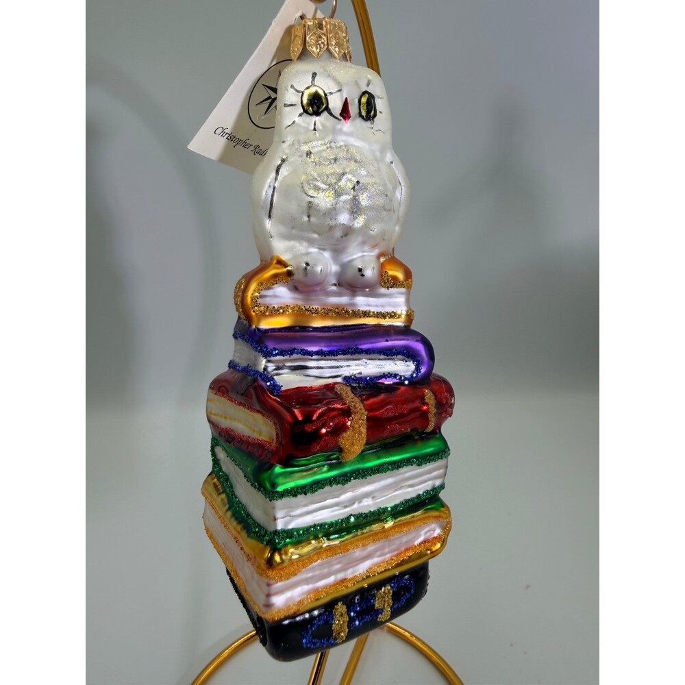 Christopher Radko Hoo-Dunnit Owl on Books Blown Glass Christmas Ornament NWT